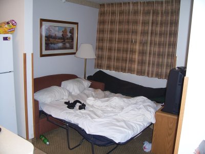 Why have a hide-a-bed if you're not going to hide squatters